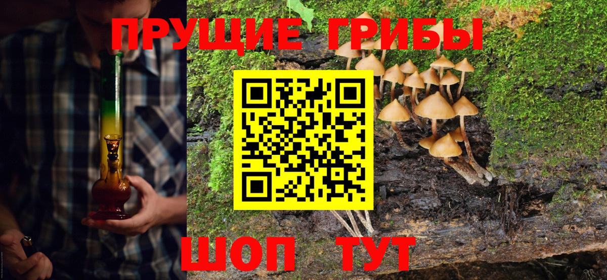 Псилоцибиновые грибы Cubensis  Псилоцибиновые грибы Psilocybe  Вход с VPN  Нижний Тагил 